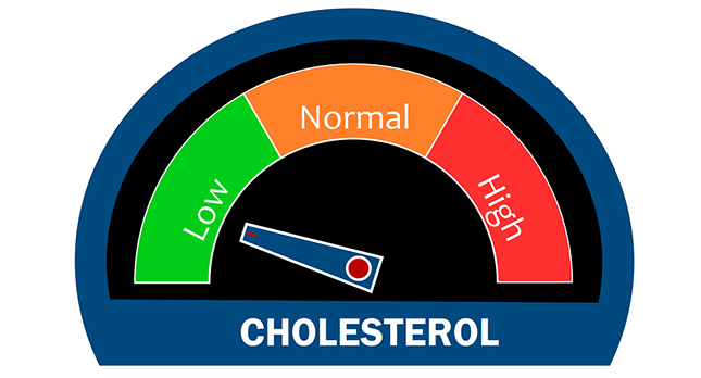 Cholesterolniveaus